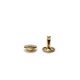 Double Headed Rivet, Gold, 9 mm